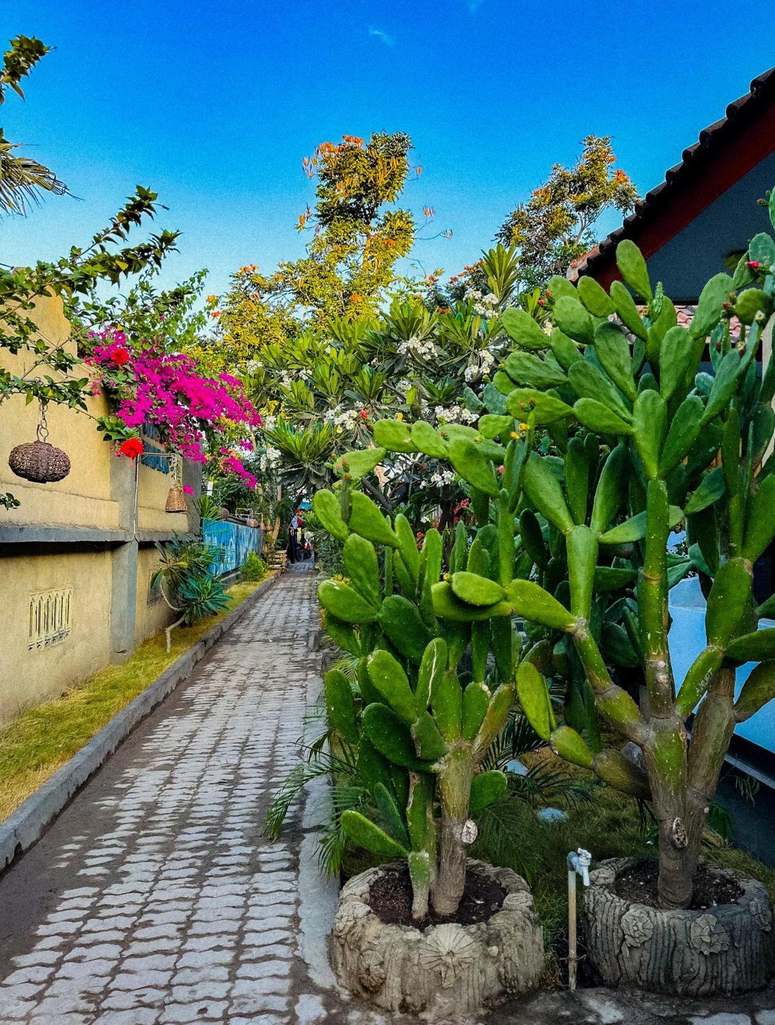 Creative Bungalow Beach Front Gili Trawangan Eksteriør billede