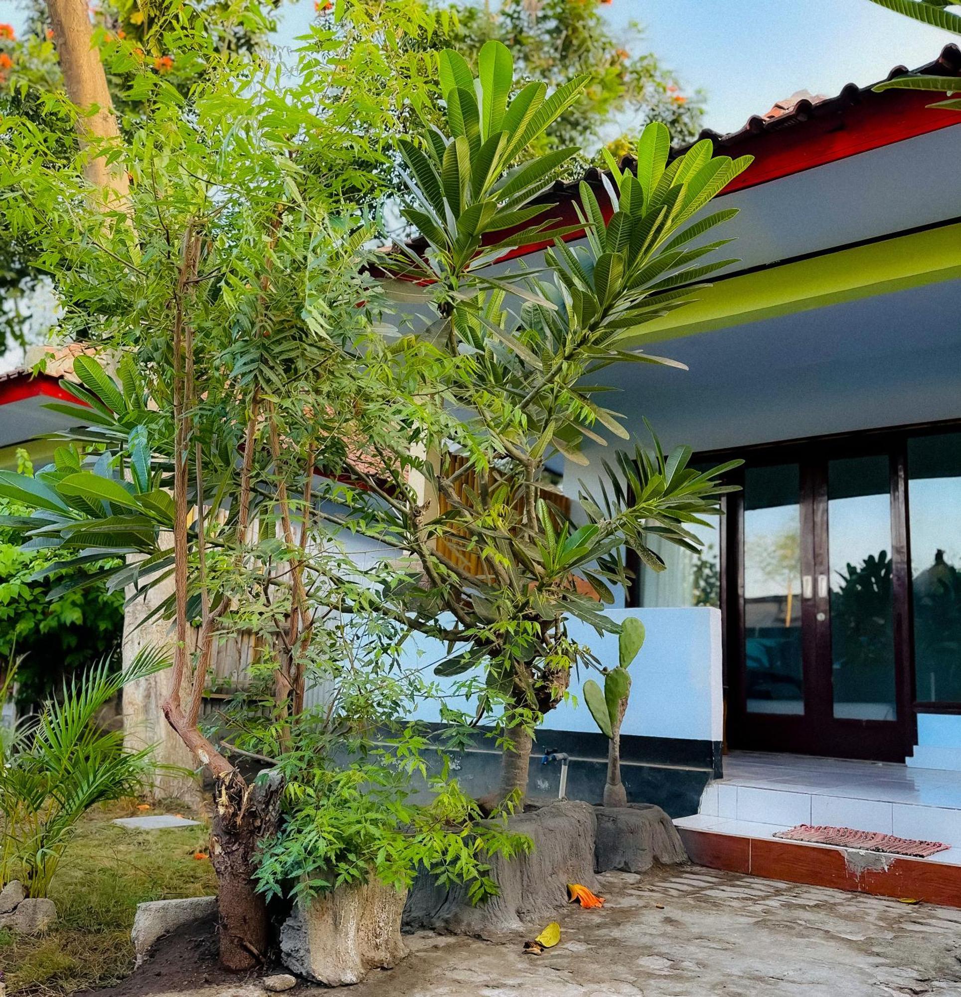 Creative Bungalow Beach Front Gili Trawangan Eksteriør billede